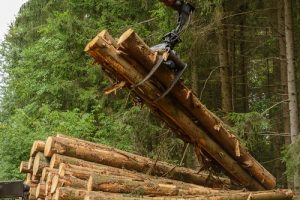 Rundholz auf Holztransporter laden